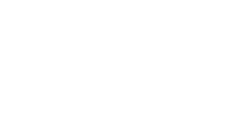 Cruiservice